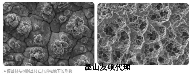 保亭蔡司保亭扫描电镜